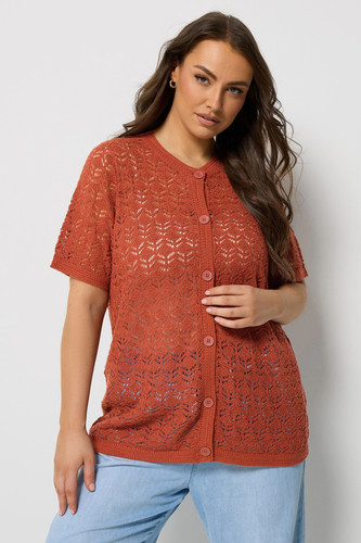 Yours curve plus size - size, womens