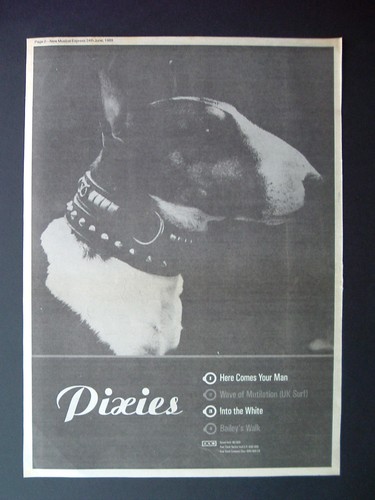 Rare 1989 pixies - 1989,