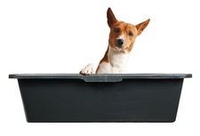 Medium Large XL Multi Purpose