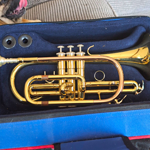 Brass cornet gold - bb,