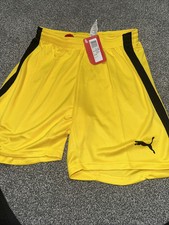 Puma v1.08GK Shorts Dandelion