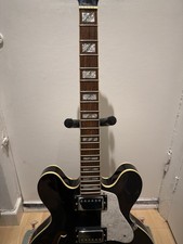 Indie Guitar co. Hollow Body