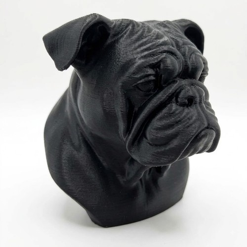 English bulldog bust home - english,