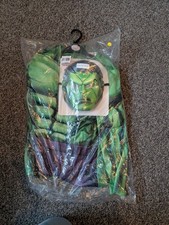 Boys 9-10 Years Hulk Dressing
