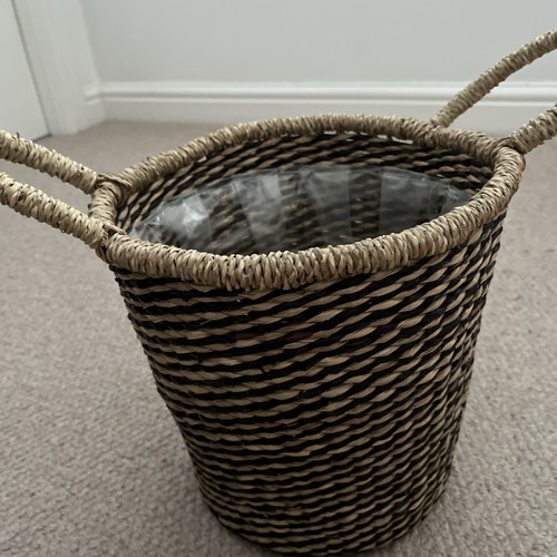 Natural wicker plant - wicker,