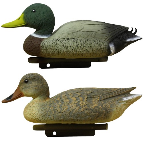 Sport plast mallard duck - plast,