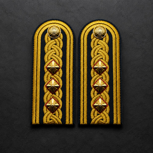Ukraine army colonel parade - army,