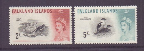 Falkland 1960 birds - falkland, 2/-