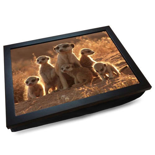 Deluxe cushioned lap tray - deluxe, |