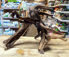 Med/Large Ancient Root  Wood