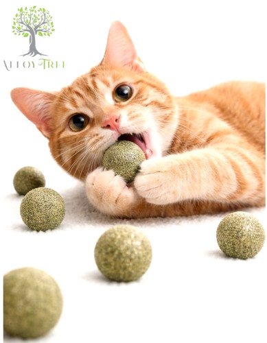 Natural catnip balls - for, cat