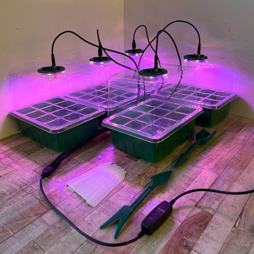Plant propagator seed tray - seed, set