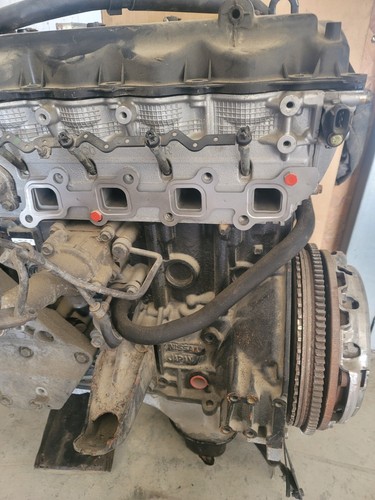 Nissan navara d40 dci - navara, 2.5