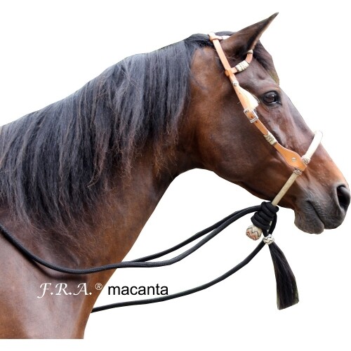 Macanta bosal bitless bridle - bitless,