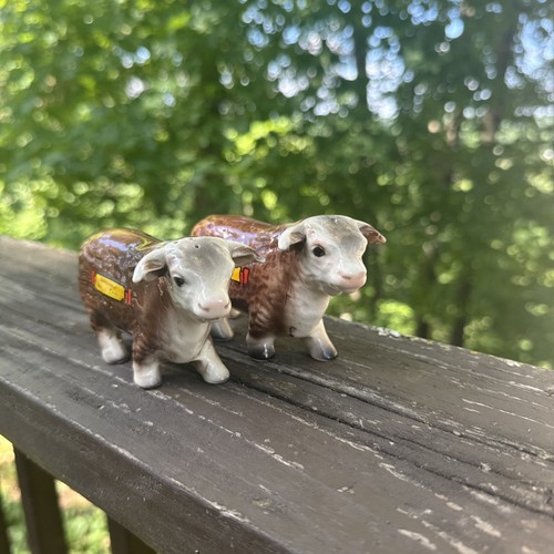 Rare vintage hereford cattle - rare,