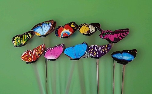 Butterfly stakes indoor - butterfly,