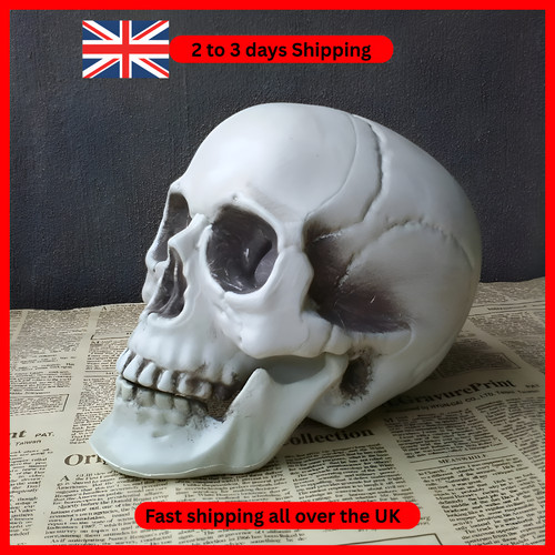 Halloween skull - halloween,