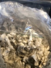 Raw untreated FINE Beautiful Beige baby alpaca fleece