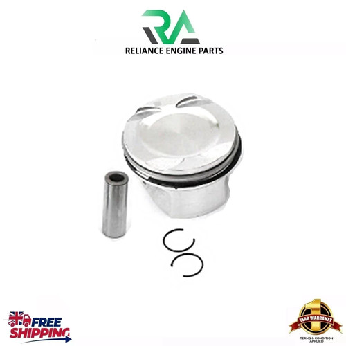 Piston with ring - piston,