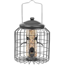 Squirrel proof hanging - squirrel,