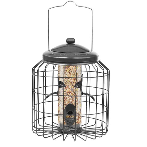 Squirrel proof hanging bird - squirrel,