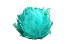 Aqua  Blue 12 inches Large