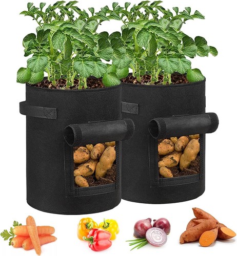 Pack gallon potato grow - potato,