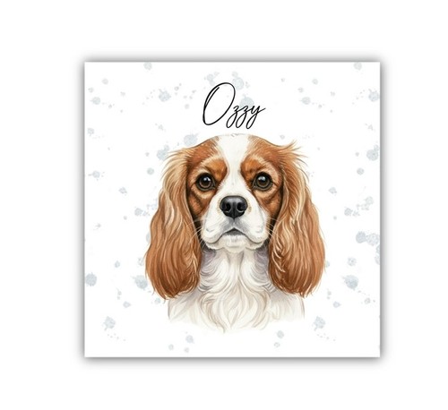 King charles cavalier - king,