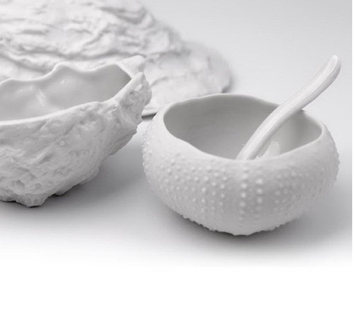 Set sea urchin xl - set, 2