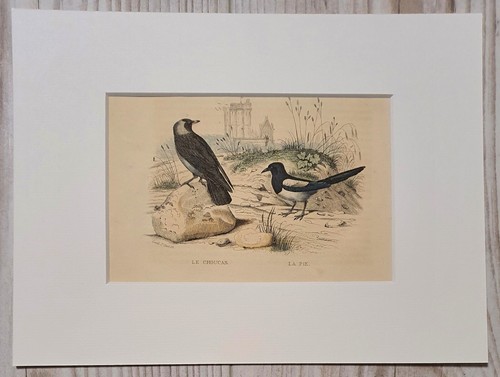 1852 lithograph art print - 1852,