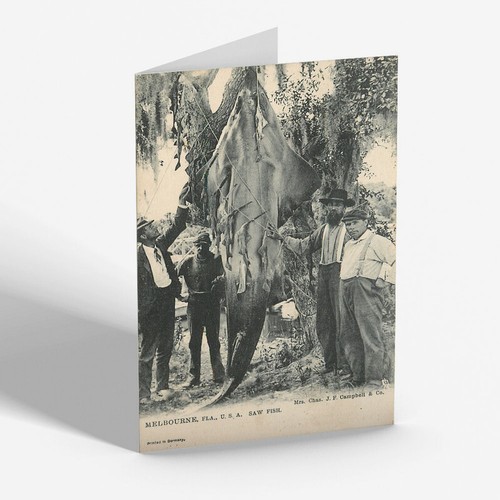 Greeting card vintage - greeting,