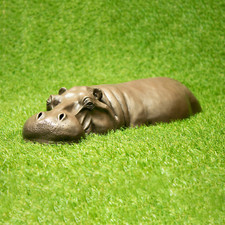 Rusting Rusty Metal Garden