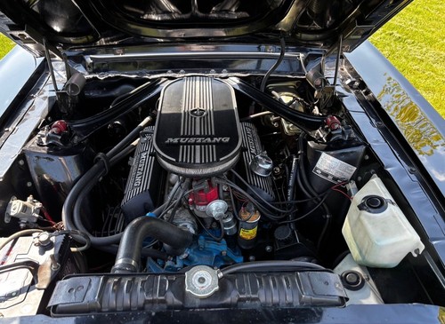 Small block ford 302ci - block,