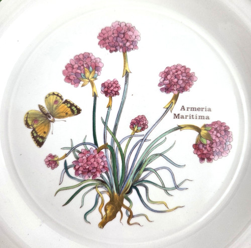 Florabunda enouc wedgewood - enouc,