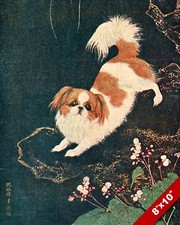 THE OPINIONATED CHINESE