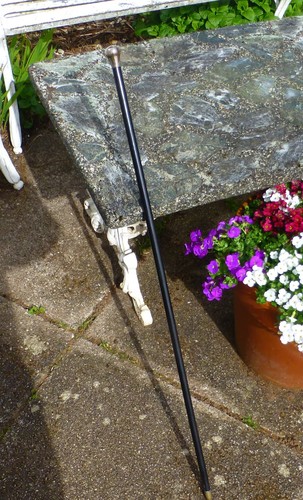 Antique ebonised walking - antique,