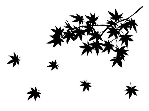 Maple leafs falling vine - maple,