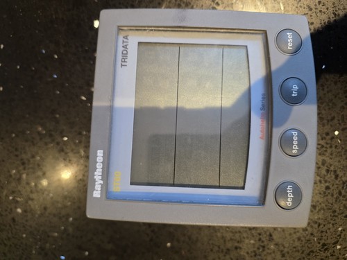 Raymarine st60 tridata - raymarine,