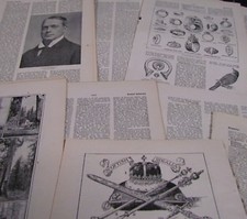 **10 sheets Vintage Encyclopedia pages. Decoupage, Art Projects, Crafting, Cards