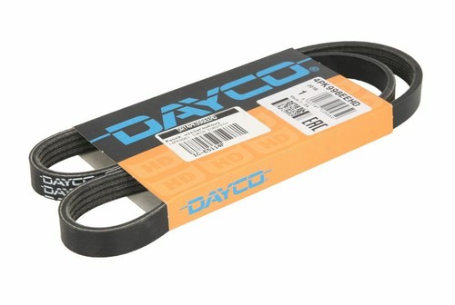 Dayco day4pk996eehd ribbed - dayco,