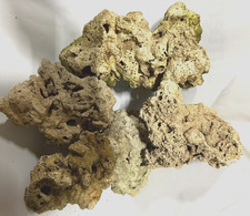 MARINE AQUARIUM LIVE  LIVING