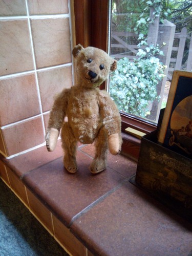 Charming 1900 antique steiff - 1900's,