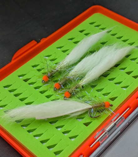 Cats whisker white and - x,
