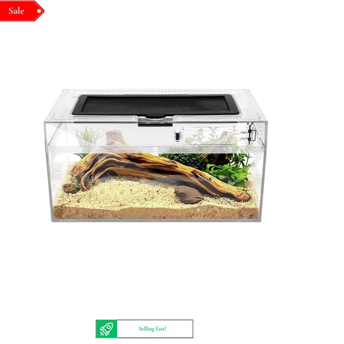 Reptile terrarium - reptile,