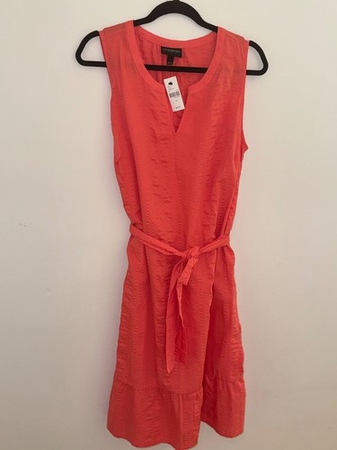 Lane bryant seer - lane,
