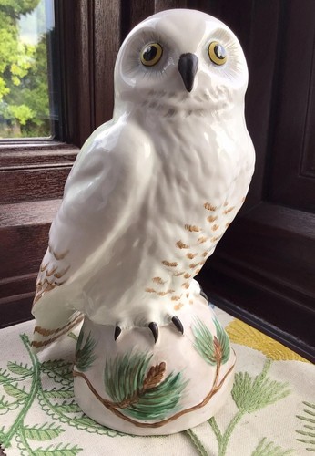 Snowy owl crown staffordshire - snowy,