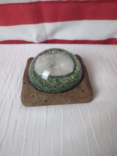 Vintage domed lucite - vintage,
