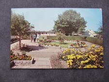 Vintage 1960s Postcard of The