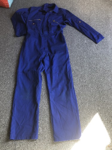 Dickies mens riyal - mens,