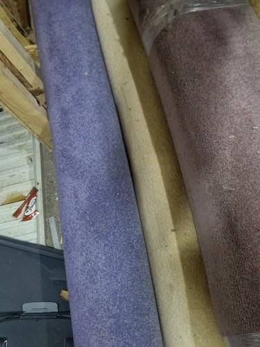 Purple carpet roll - carpet,